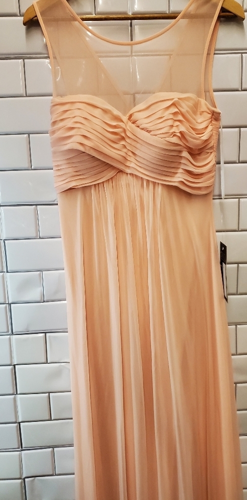 Nwt Eva Ladies Evening Formal Sleeveless Maxi Dress Sheer Neckline Pleated Bodic